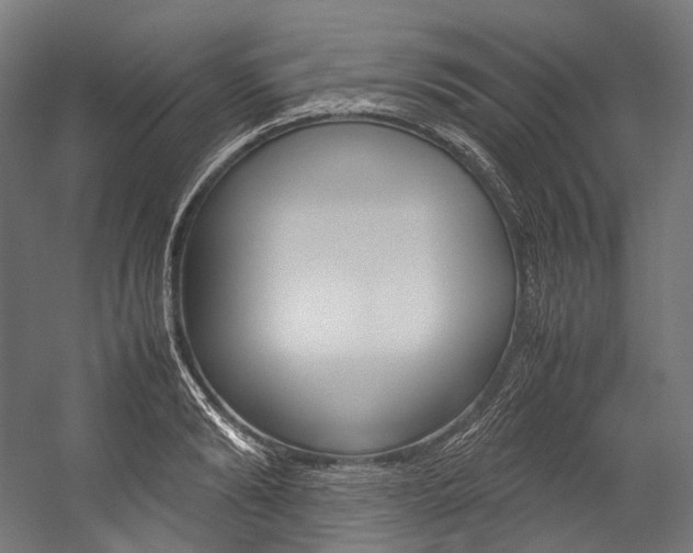 X0000054470894200507291044