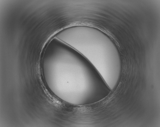 X0000054470896200507291044
