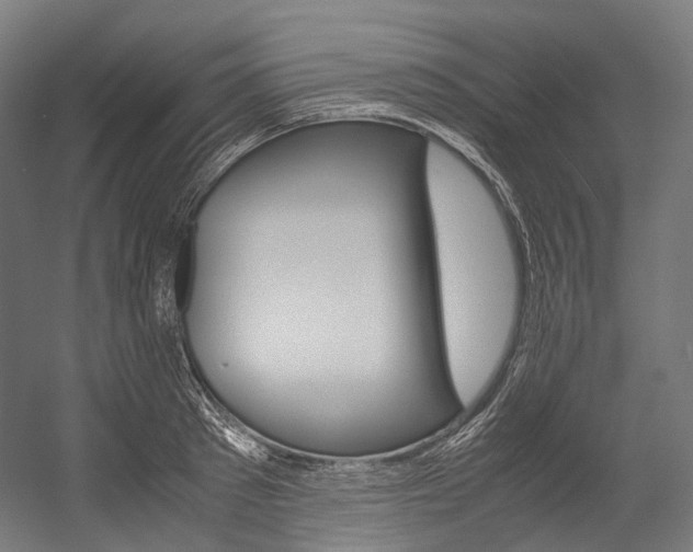 X0000054470897200507291044