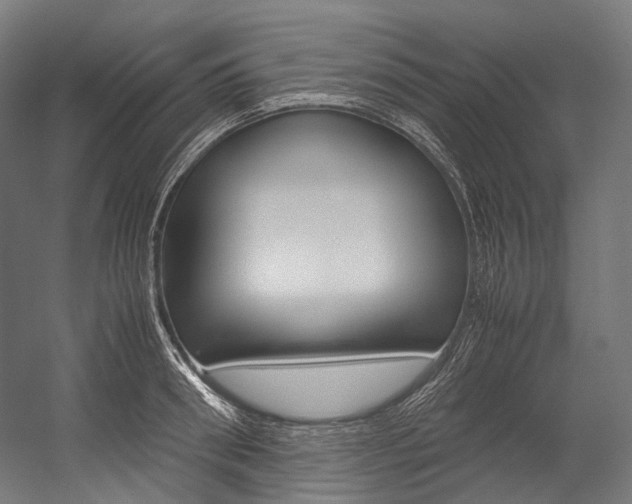 X0000054470898200507291044