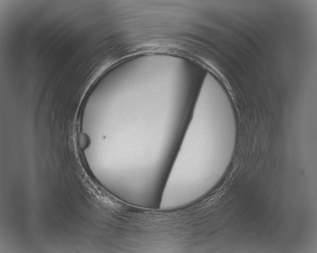 X0000054470899200507291044