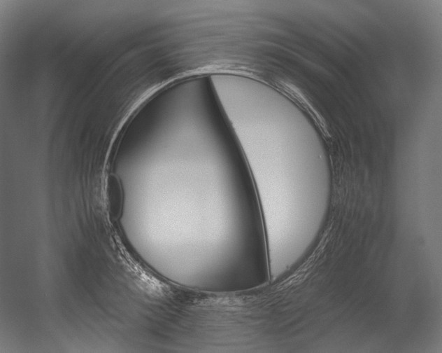 X0000054470900200507291044