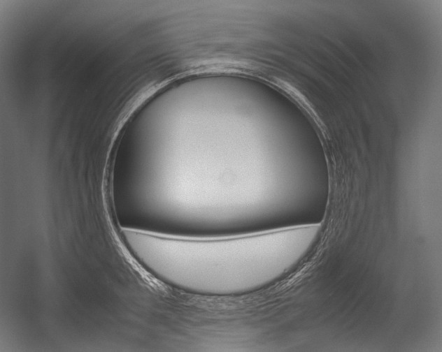 X0000054470901200507291044