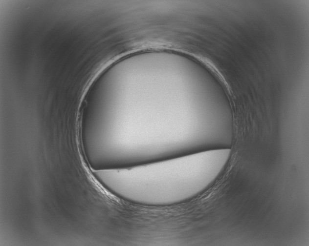 X0000054470903200507291044