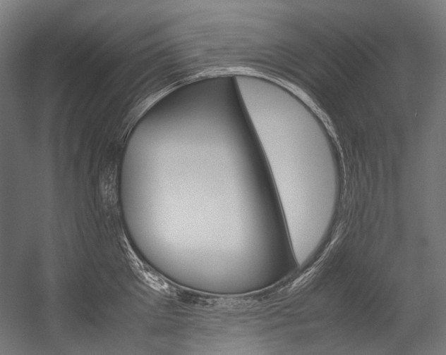 X0000054470905200507291044