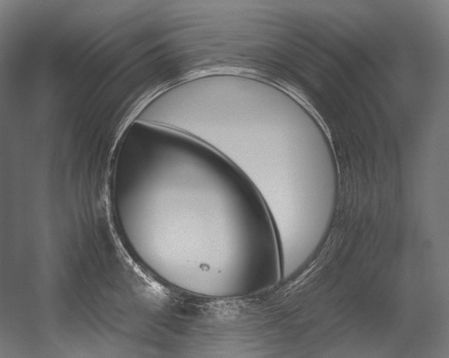 X0000054470906200507291044
