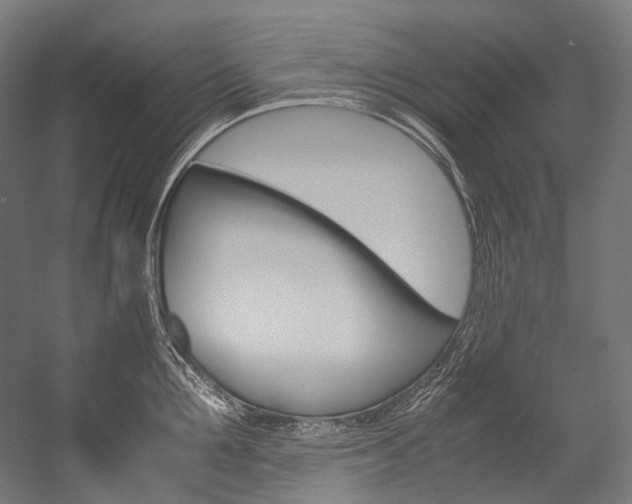 X0000054470907200507291044