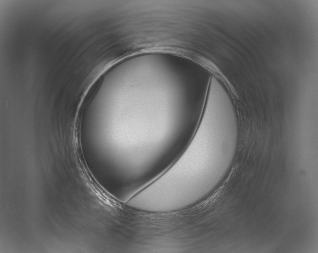 X0000054470908200507291044