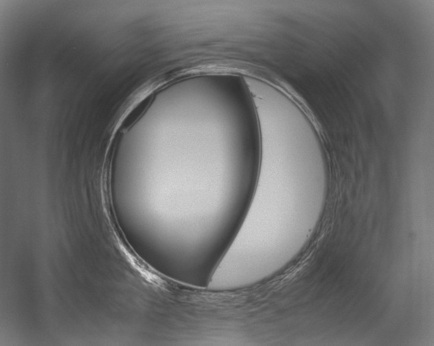 X0000054470909200507291044