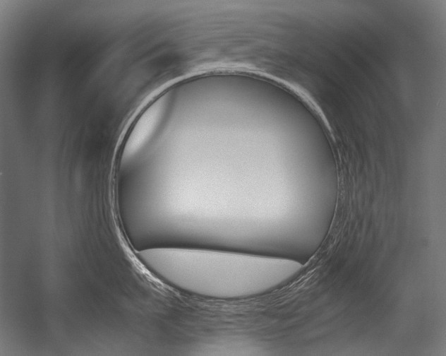 X0000054470911200507291044