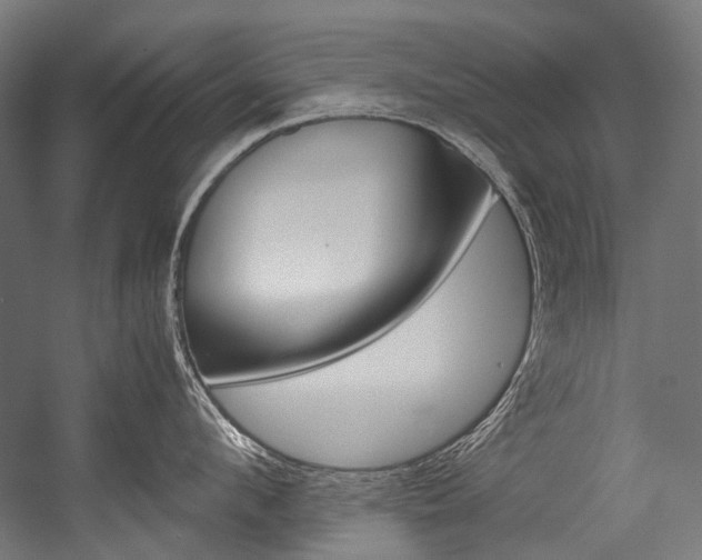 X0000054470912200507291044
