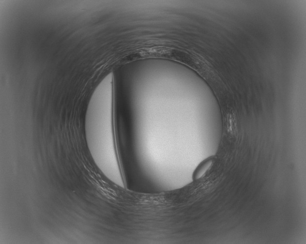 X0000054470915200507291043
