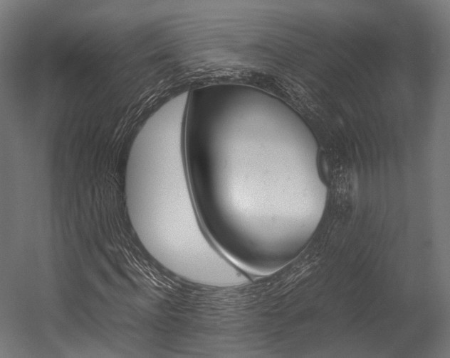 X0000054470916200507291043