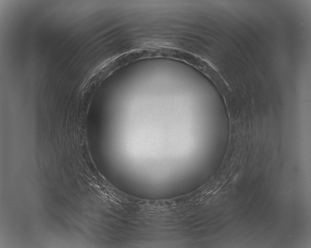 X0000054470919200507291043