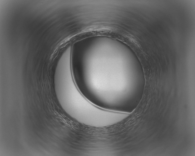 X0000054470920200507291043