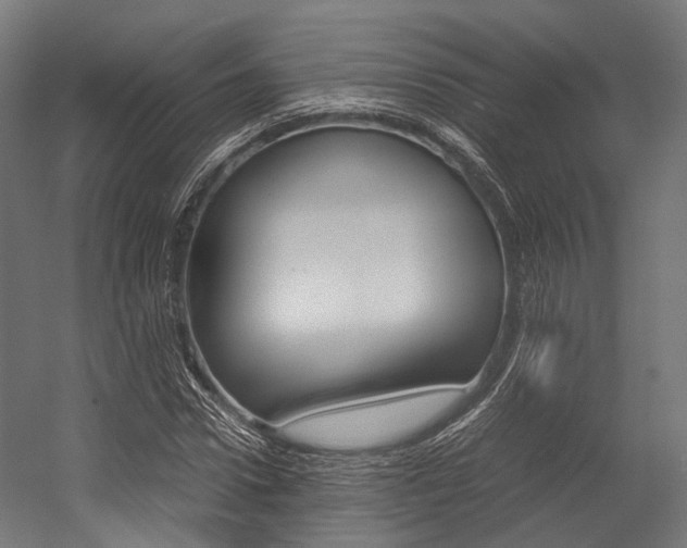 X0000054470922200507291043