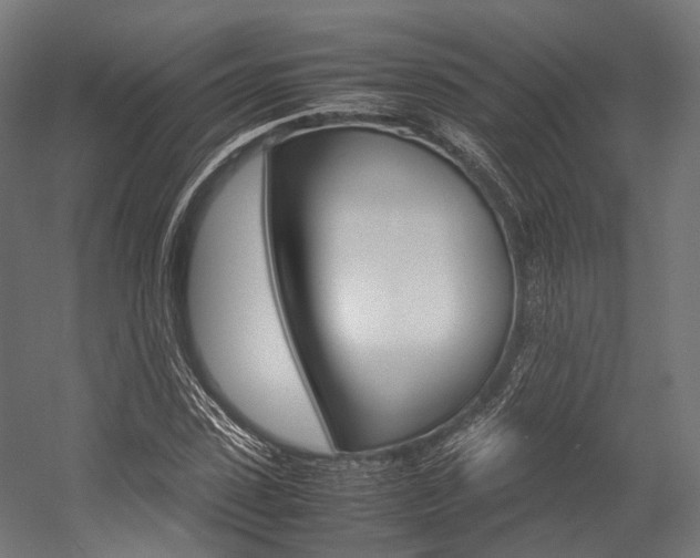 X0000054470923200507291043