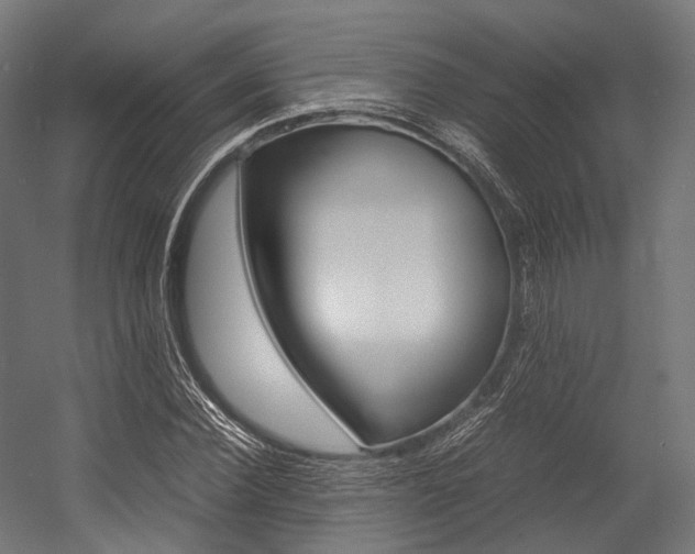 X0000054470924200507291043