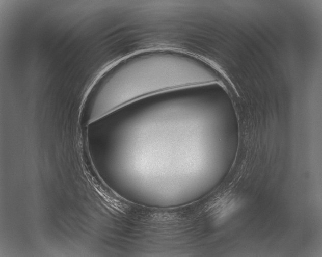 X0000054470927200507291043