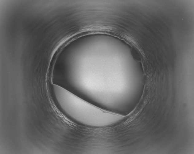 X0000054470928200507291043