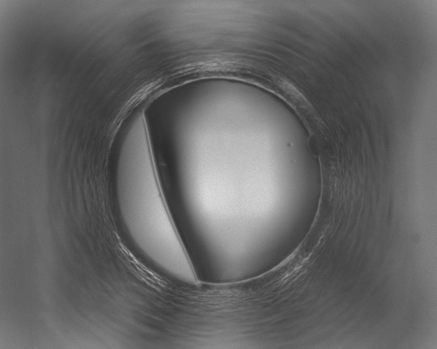 X0000054470930200507291043