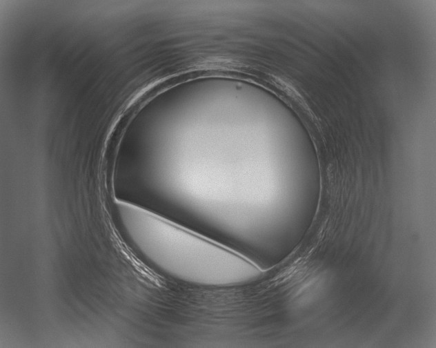 X0000054470931200507291043