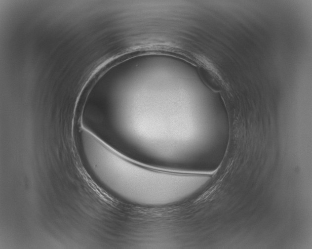 X0000054470932200507291043