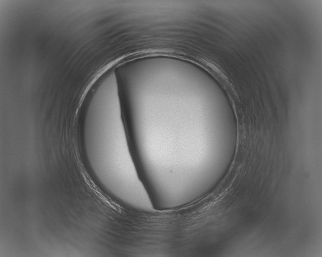 X0000054470933200507291043