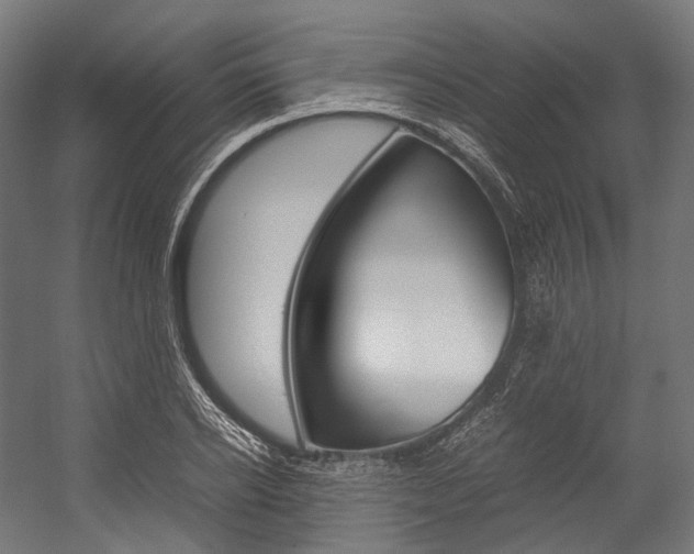 X0000054470934200507291043