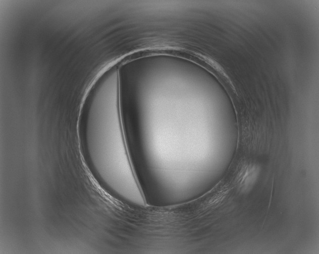 X0000054470935200507291044