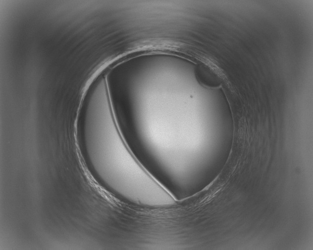 X0000054470936200507291044