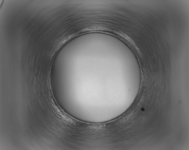 X0000054470937200507291044