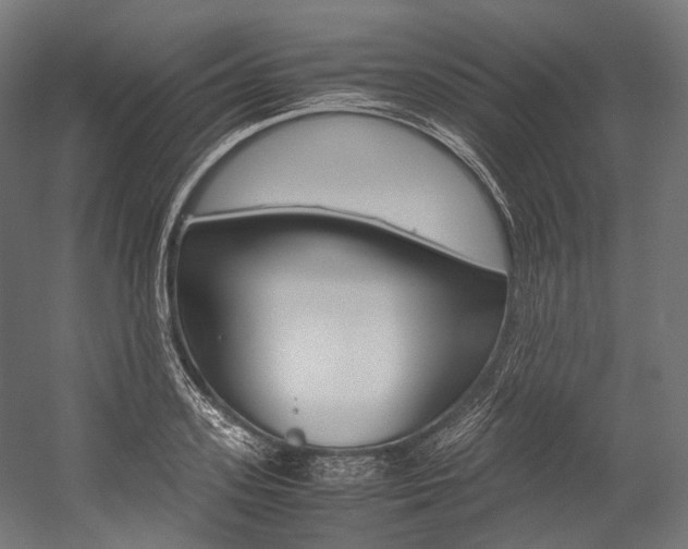 X0000054470939200507291044