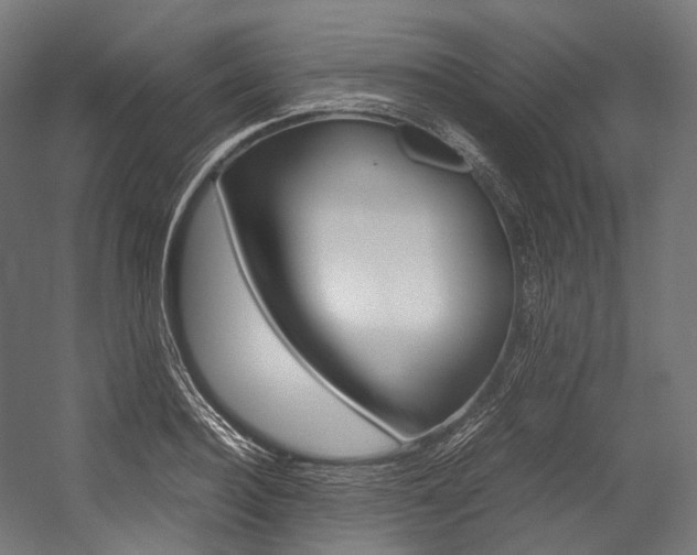 X0000054470940200507291044