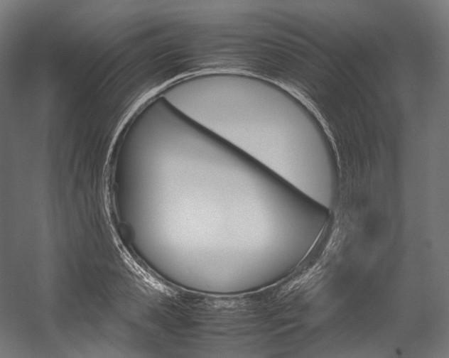 X0000054470941200507291044