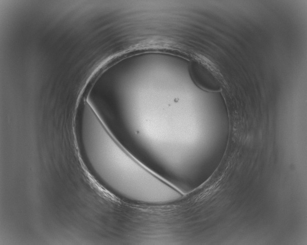 X0000054470942200507291044
