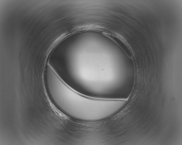 X0000054470946200507291044