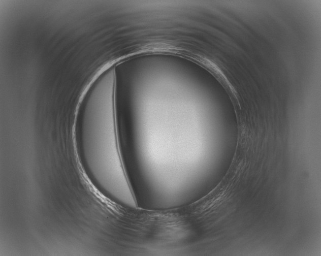 X0000054470947200507291044