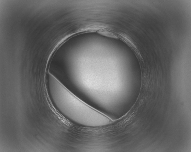 X0000054470948200507291044