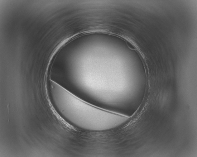 X0000054470949200507291044