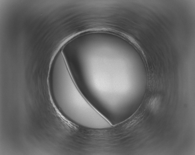 X0000054470951200507291044