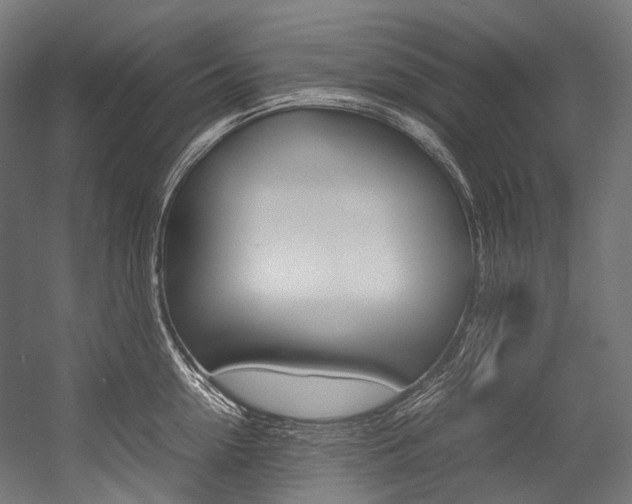 X0000054470954200507291044