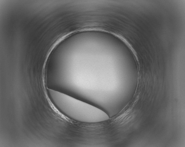 X0000054470957200507291044