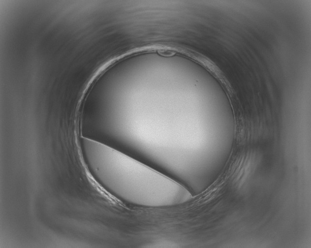 X0000054470958200507291044