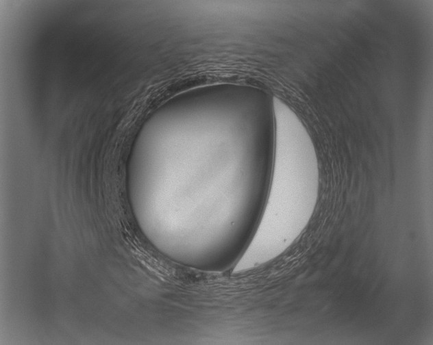 X0000054470961200507291043