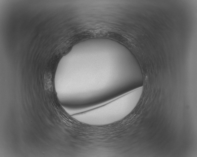 X0000054470963200507291043