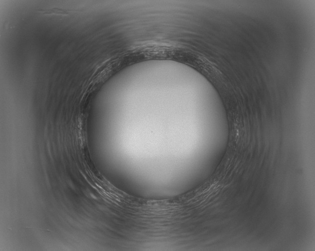 X0000054470964200507291043