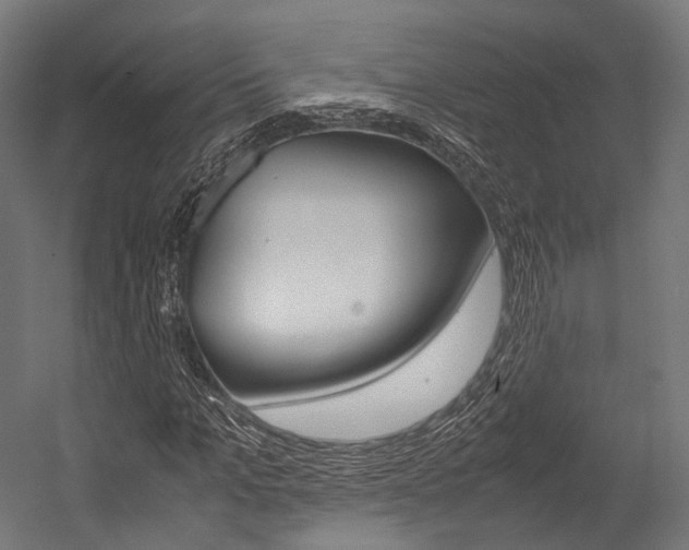 X0000054470965200507291043