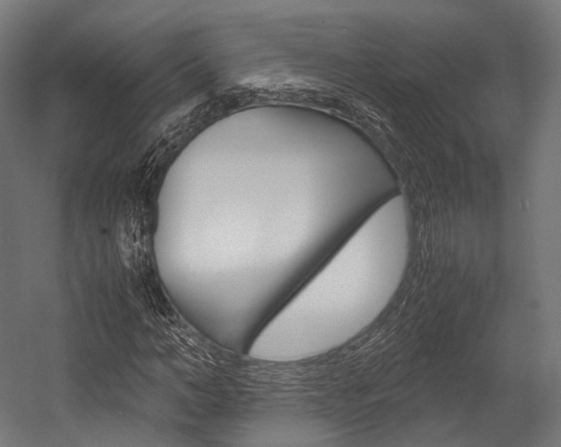 X0000054470966200507291043