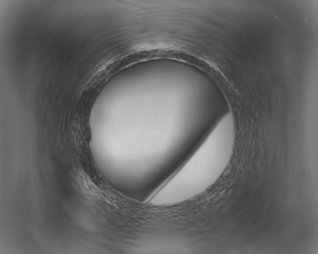 X0000054470967200507291043